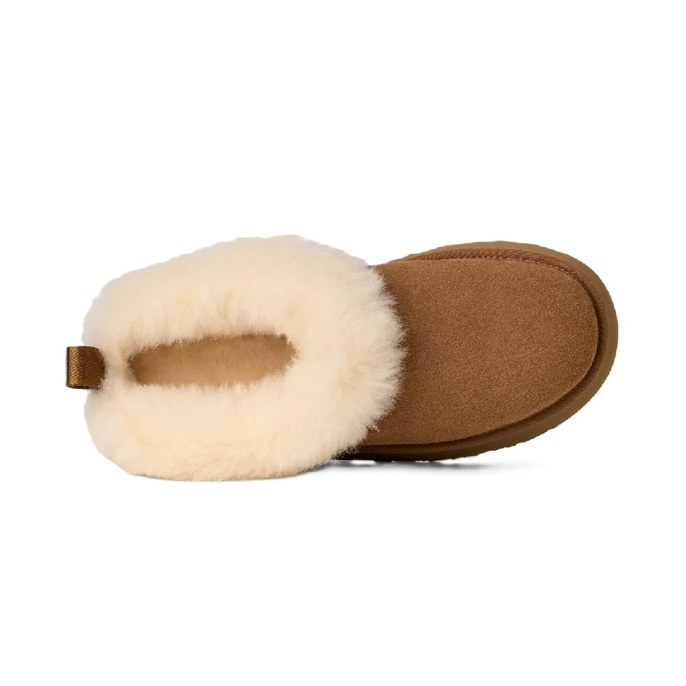 Women's UGG Tazzelle Slipper Chestnut (1171393-CHE)