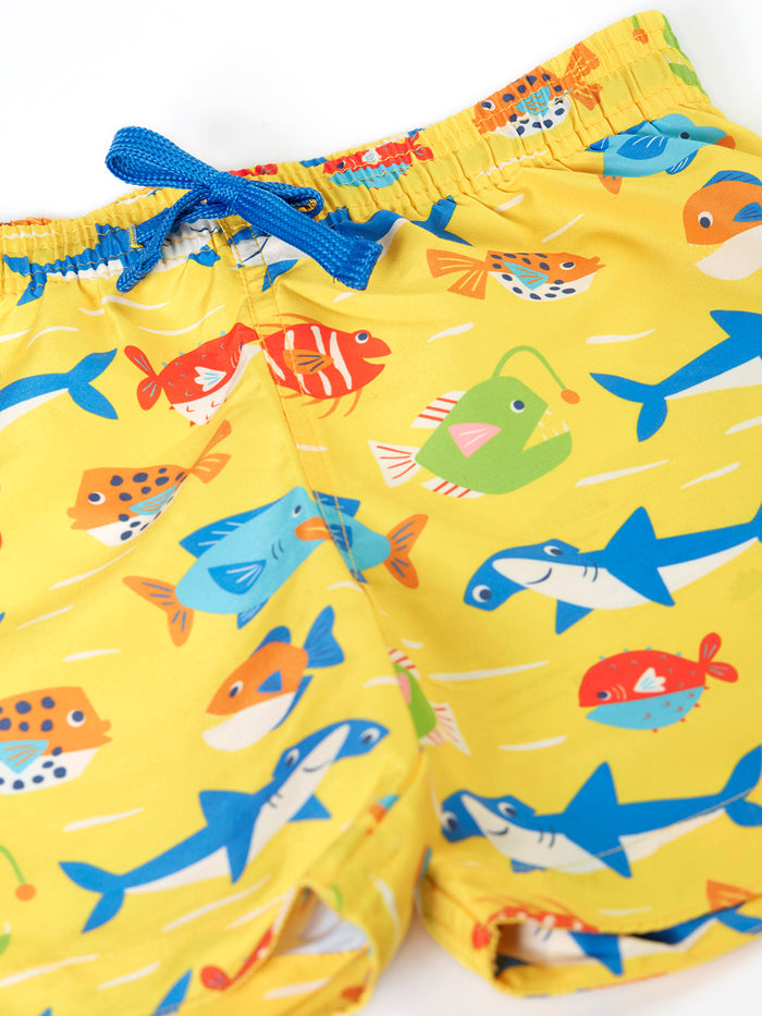 Boscastle Board Shorts