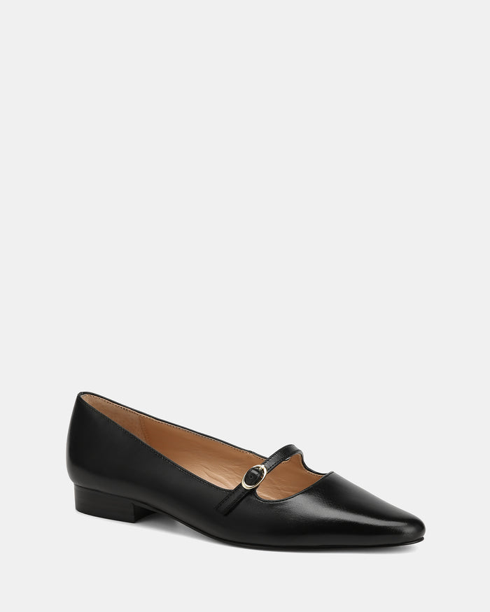 Carina Black Leather Pointed Ballet Flat