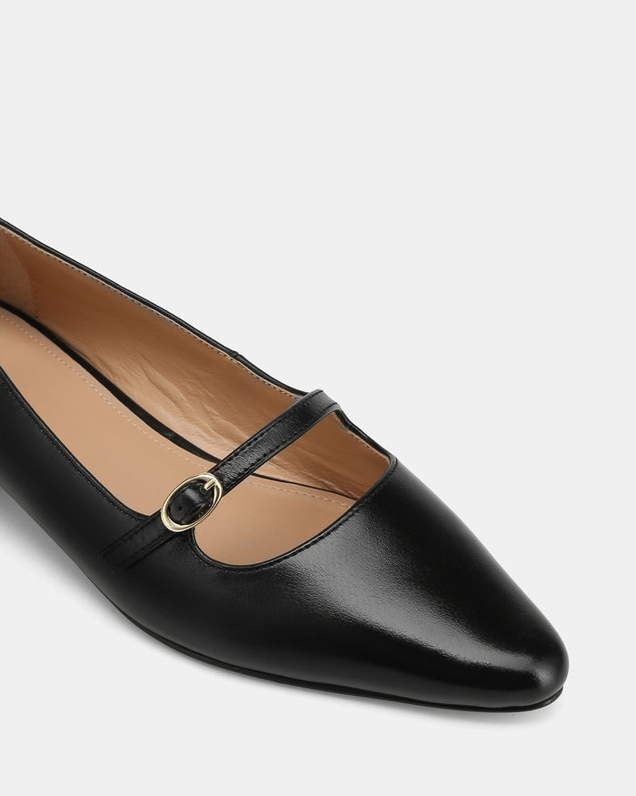 Carina Black Leather Pointed Ballet Flat