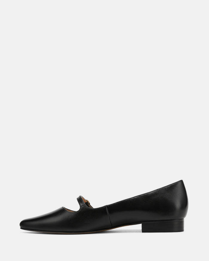 Carina Black Leather Pointed Ballet Flat