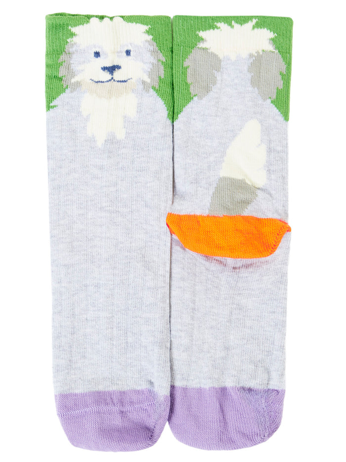 Character Socks 2 Pack