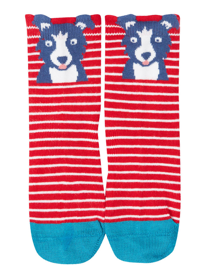 Little Socks 3 Pack