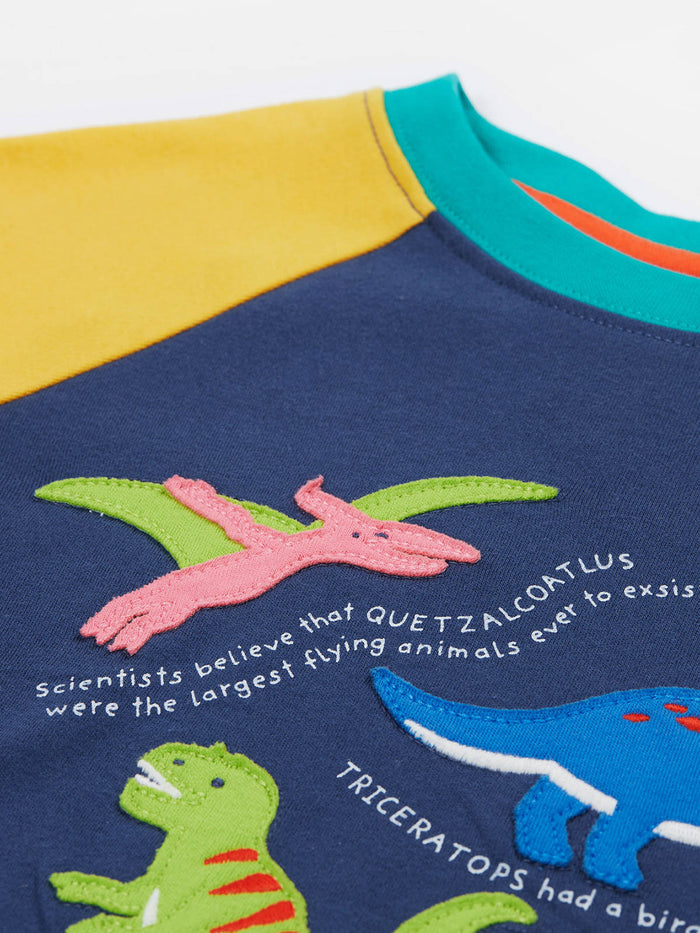 Renny Raglan T-Shirt