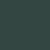 Asics Japan Pro Shoes - Forest Night/Cream