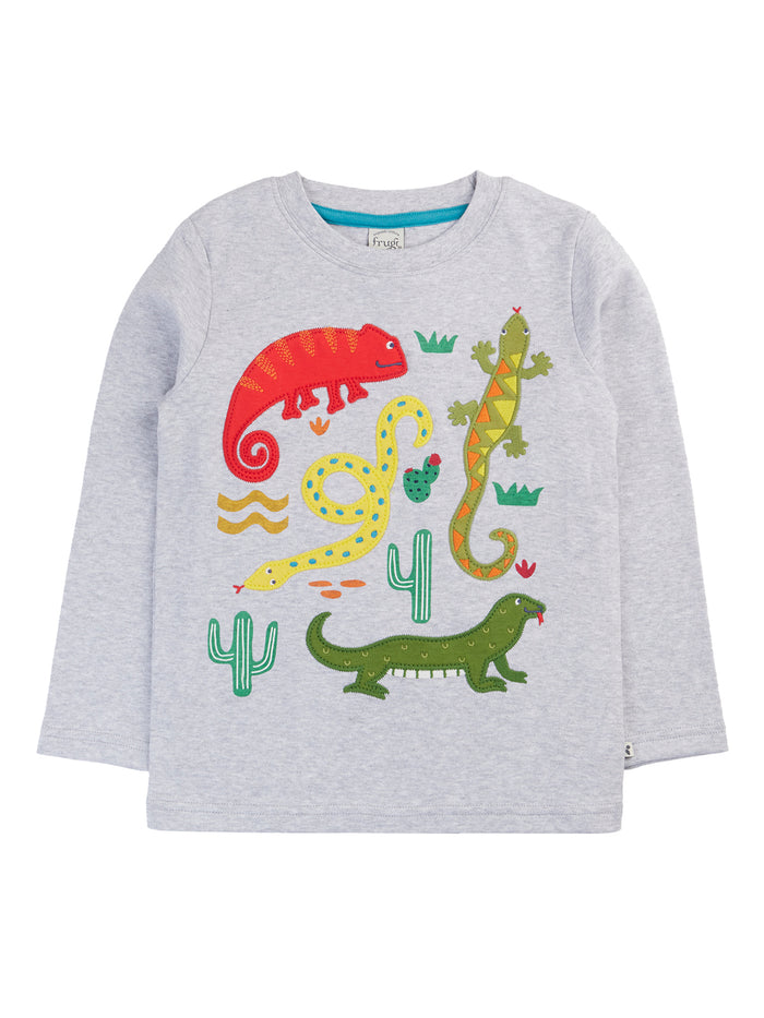 Terrific Applique Top