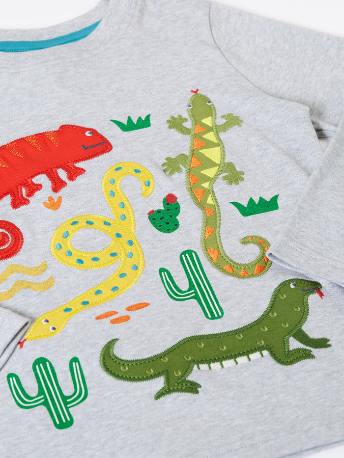 Terrific Applique Top