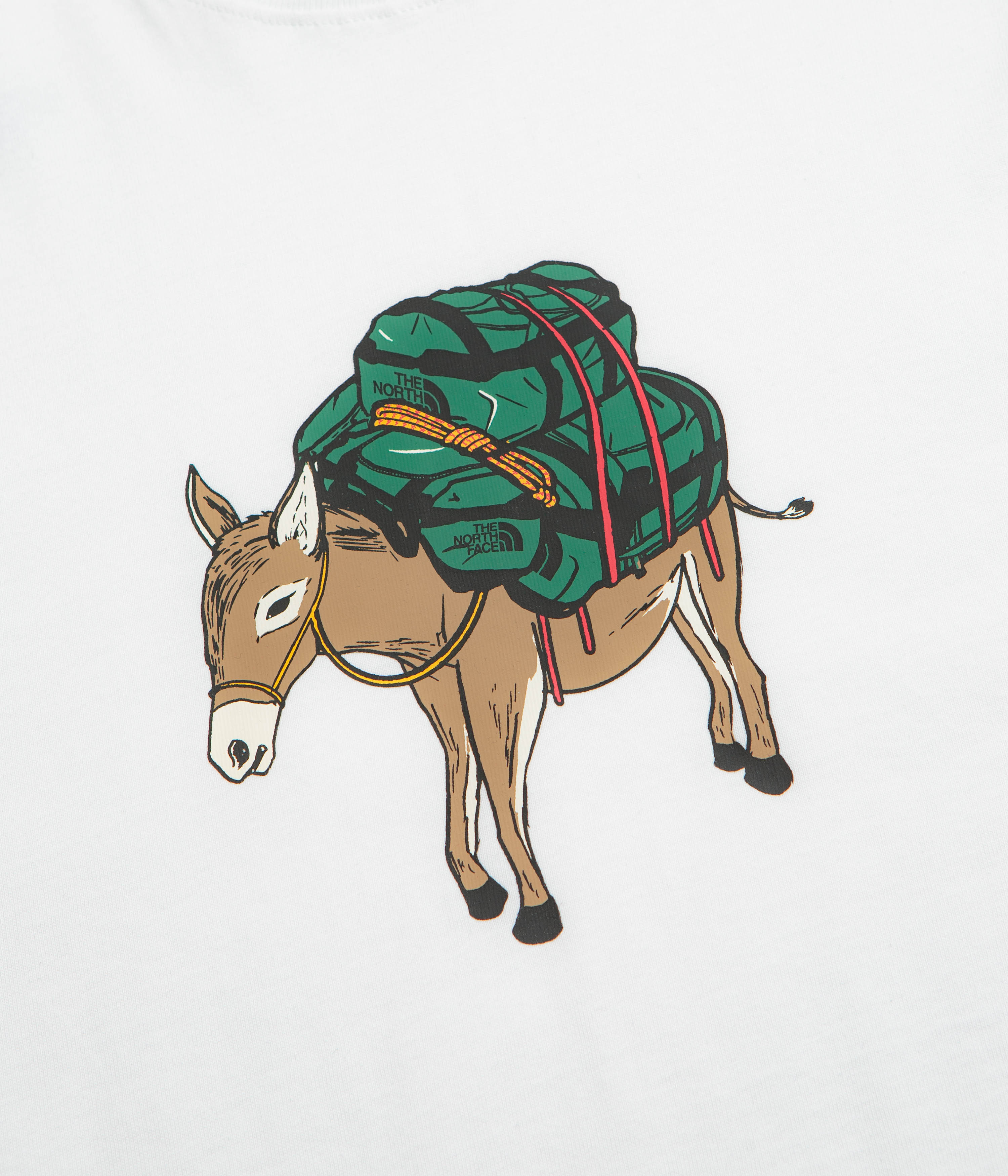 The North Face Donkey Taxi Relaxed T-Shirt - TNF White