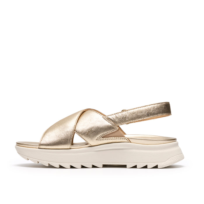 Womens - DashLite Wish
