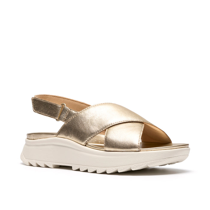 Womens - DashLite Wish